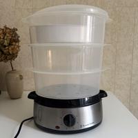 Vaporiera Russell Hobbs  9 l