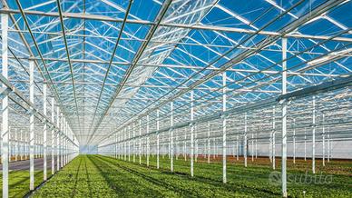 Serre agricole