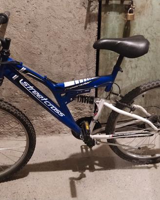 Mountain bike 