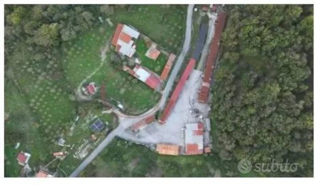 Immobile in asta di 1391 m² a Rivello - Vista 2