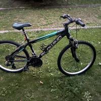 Bicicletta da bambino