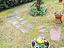 Immagine 10
