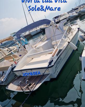 Fiart Super Arrow 
