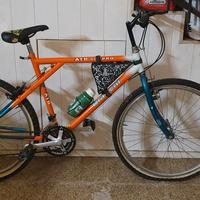 mountain bike "bianchi"