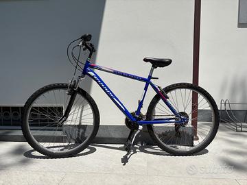 Mountain Bike - Ruota 26