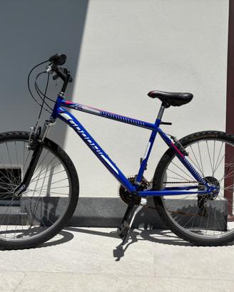 Mountain Bike - Ruota 26