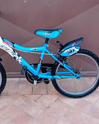 bici 20