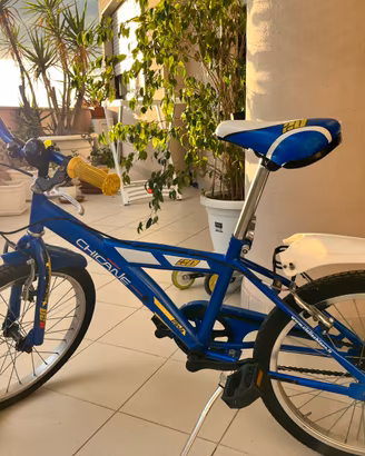 Bici 20