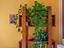 Immagine 24