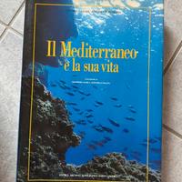 Il mediterraneo è la sua vita