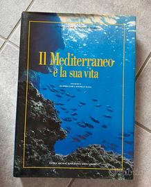 Il mediterraneo è la sua vita