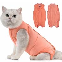 Body- vestito gatto per impedire toccare ferita