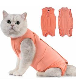 Body- vestito gatto per impedire toccare ferita