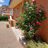 Rifinito e immediatamente disponibile