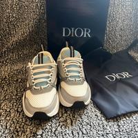 Dior b22
