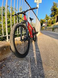 BICI MTB