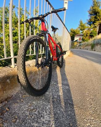 BICI MTB