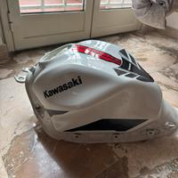 Pezzi di ricambio danneggiati Kawasaki Z650 (2022)