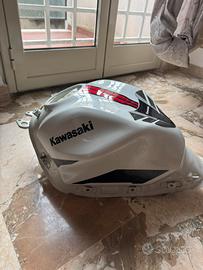 Pezzi di ricambio danneggiati Kawasaki Z650 (2022)