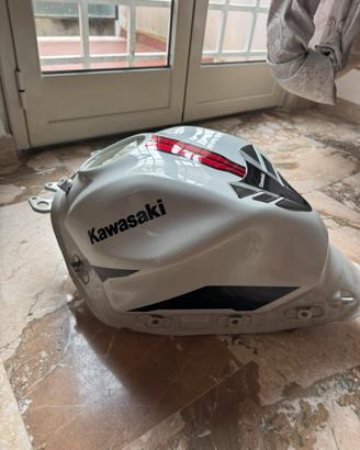 Pezzi di ricambio danneggiati Kawasaki Z650 (2022)