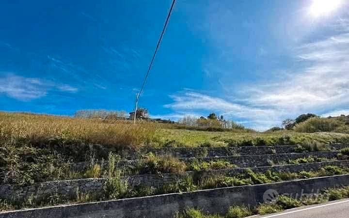 terreno agricolo - Vista 5