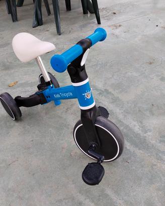 triciclo evolutivo