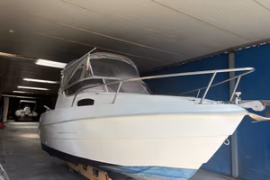 Mingolla corallo cabin 6.20 Suzuki 4t 140