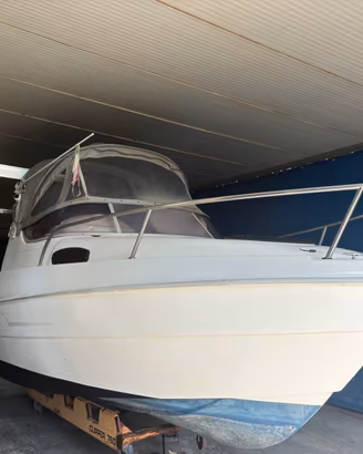 Mingolla corallo cabin 6.20 Suzuki 4t 140