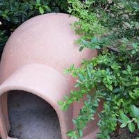 cuccia cane coibentata