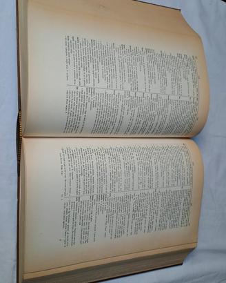 Gran Dizionario Piemontese Italiano Sant'Albino