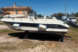 Barca allegra 5.6.0