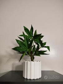 pianta artificiale realistica 