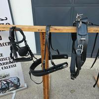 FINIMENTI PONI , COB