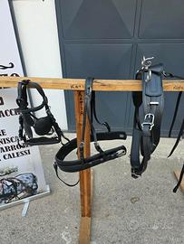 FINIMENTI PONI , COB