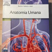 Anatomia Umana di Martini 
