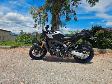 MT 09 sp 2026