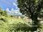 Immagine 22