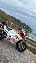 Casco xlite 803 rs ultra carbon