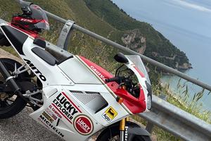 Casco xlite 803 rs ultra carbon