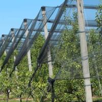 Rete antigrandine su misura per orto colture auto