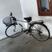 bicicletta 