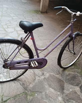 Bici olandese
