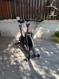 Ciclette schwinn professional