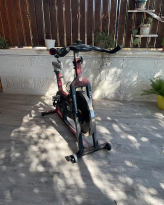 Ciclette schwinn professional