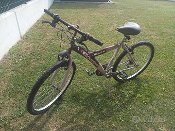 bicicletta  (mountain bike) 