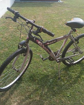 bicicletta  (mountain bike) 
