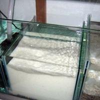 Sabbia Viva Acquario Marino Benthos Batteri 40kg