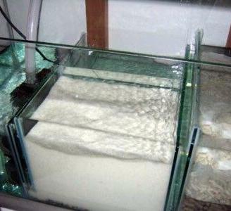 Sabbia Viva Acquario Marino Benthos Batteri 40kg