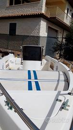 Barca vulcanissimo 4.60 m