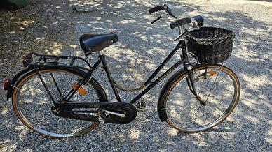 Bicicletta trarovi